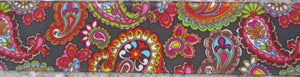 Paisley...Colorful on Brown