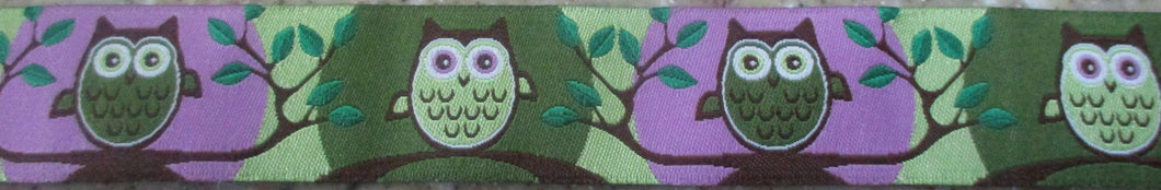 Owls...Purple and Green 1 Inch
