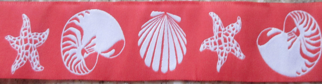 Shells...Coral and White