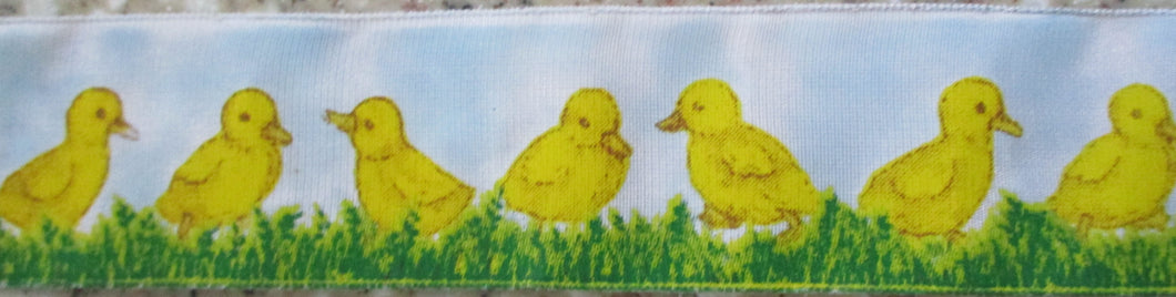 Yellow Chicks on A Light Blue Background